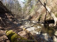 GUPPY FALLS ONONADAGA NY 4-29-2015_00042.JPG