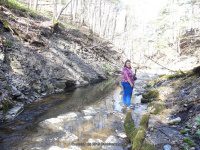 GUPPY FALLS ONONADAGA NY 4-29-2015_00044.JPG