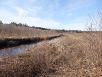 BLACK CREEK RESERVOIR HERKIMER NY 5-2-2015_00005.JPG