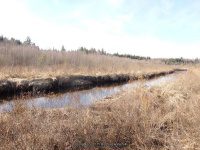 BLACK CREEK RESERVOIR HERKIMER NY 5-2-2015_00006.JPG