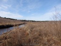 BLACK CREEK RESERVOIR HERKIMER NY 5-2-2015_00007.JPG