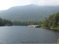 BEAVER POND GRAFTON COUNTY NH 7-29-2009_00008.JPG