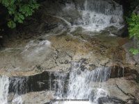 LEDGE BROOK FALLS CARROLL NH 7-29-2009_00003.JPG