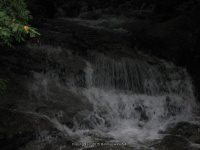 LEDGE BROOK FALLS CARROLL NH 7-29-2009_00004.JPG