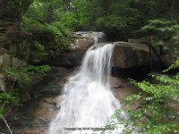 LEDGE BROOK FALLS CARROLL NH 7-29-2009_00011.JPG