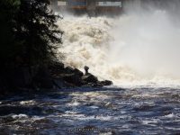 LYONS FALLS LEWIS COUNTY NORTHERN NEW YORK 5-17-2014_00016.JPG