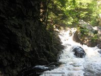 BEARS DEN FALLS FRANKLIN MA 8-01-2009_00015.JPG