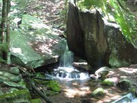 BRIGGS BROOK FALLS FRANKLIN MA 8-01-2009_00004.JPG