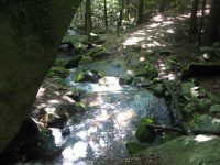 BRIGGS BROOK FALLS FRANKLIN MA 8-01-2009_00009.JPG