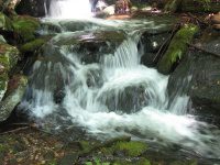 BRIGGS BROOK FALLS FRANKLIN MA 8-01-2009_00012.JPG
