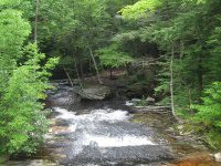 CHAPEL BROOK FALLS FRANKLIN MA 8-02-2009_00002.JPG