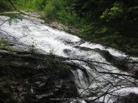 CHAPEL BROOK FALLS FRANKLIN MA 8-02-2009_00005.JPG