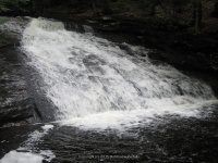 CHAPEL BROOK FALLS FRANKLIN MA 8-02-2009_00009.JPG
