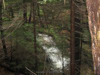 GUNN BROOK FALLS FRANKLIN MA 8-01-2009_00001.JPG