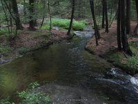 GUNN BROOK FALLS FRANKLIN MA 8-01-2009_00002.JPG