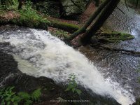 GUNN BROOK FALLS FRANKLIN MA 8-01-2009_00003.JPG