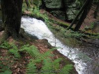 GUNN BROOK FALLS FRANKLIN MA 8-01-2009_00004.JPG