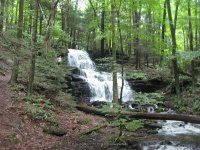 GUNN BROOK FALLS FRANKLIN MA 8-01-2009_00005.JPG