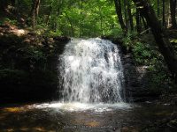 GUNN BROOK FALLS FRANKLIN MA 8-01-2009_00007.JPG