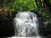 GUNN BROOK FALLS FRANKLIN MA 8-01-2009_00008.JPG