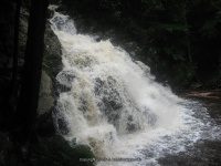 WACONAH FALLS BERKSHIRE MA 8-02-2009_00007.JPG