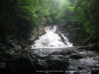 WACONAH FALLS BERKSHIRE MA 8-02-2009_00010.JPG