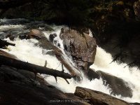 AUGAR MIDDLE SECTION 5-10-2015_00007.JPG