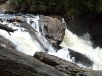 AUGAR MIDDLE SECTION 5-10-2015_00009.JPG
