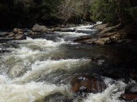 AUSTIN FALLS HAMILTON NY 5-10-2015_00001.JPG