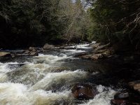 AUSTIN FALLS HAMILTON NY 5-10-2015_00002.JPG