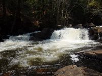 AUSTIN FALLS HAMILTON NY 5-10-2015_00007.JPG
