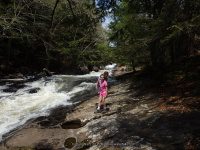AUSTIN FALLS HAMILTON NY 5-10-2015_00011.JPG
