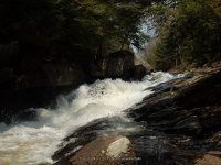 AUSTIN FALLS HAMILTON NY 5-10-2015_00016.JPG