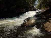 AUSTIN FALLS HAMILTON NY 5-10-2015_00017.JPG