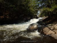 AUSTIN FALLS HAMILTON NY 5-10-2015_00018.JPG