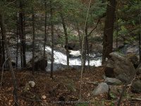 CHRISTINE FALLS HAMILTON NY 5-10-2015_00003.JPG