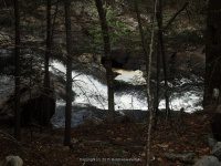 CHRISTINE FALLS HAMILTON NY 5-10-2015_00004.JPG