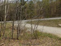 CHRISTINE FALLS HAMILTON NY 5-10-2015_00009.JPG