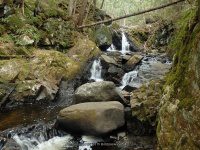 E JIMMY CREEK FALLS HAMILTON NY 5-10-2015_00008.JPG