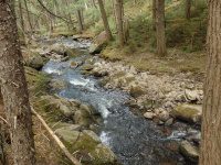 E JIMMY CREEK FALLS HAMILTON NY 5-10-2015_00013.JPG