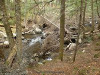 E JIMMY CREEK FALLS HAMILTON NY 5-10-2015_00014.JPG