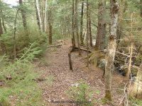 E JIMMY CREEK FALLS HAMILTON NY 5-10-2015_00016.JPG