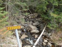 E JIMMY CREEK FALLS HAMILTON NY 5-10-2015_00018.JPG