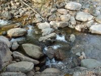 W JIMMY CREEK FALLS HAMILTON NY 5-10-2015_00015.JPG