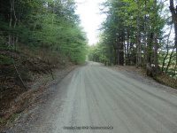RIVER ROAD HAMILTON NY 5-10-2015_00004.JPG