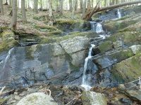 RIVER ROAD HAMILTON NY 5-10-2015_00009.JPG