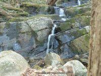 RIVER ROAD HAMILTON NY 5-10-2015_00011.JPG