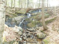 RIVER ROAD HAMILTON NY 5-10-2015_00014.JPG