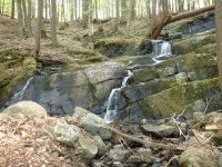 RIVER ROAD HAMILTON NY 5-10-2015_00015.JPG
