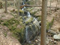RIVER ROAD HAMILTON NY 5-10-2015_00017.JPG